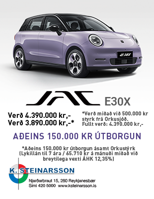 K Steinarsson 16-31.júní