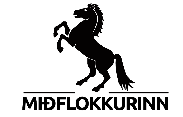 Miðflokkurinn býður fram í Suðurkjördæmi