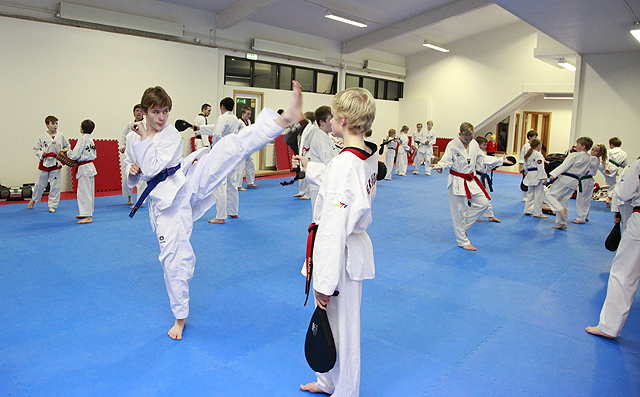Sterkasta Taekwondo-deild landsins