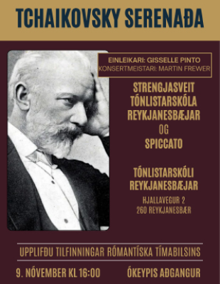 Tónlistarskóli RNB tónleikar