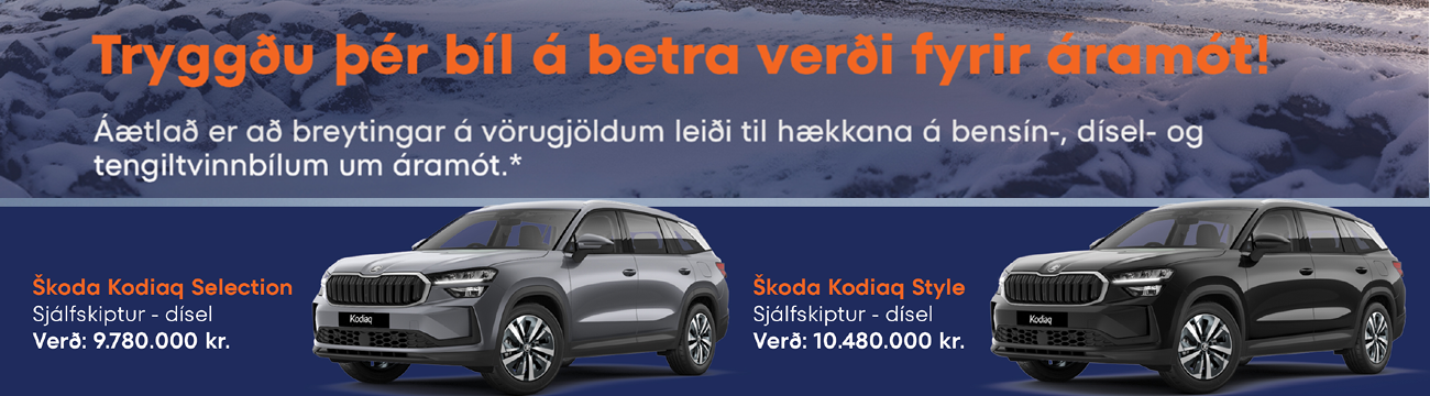 Bílakjarninn nóv. 25 VW