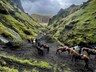 Hestaferð um hálendið