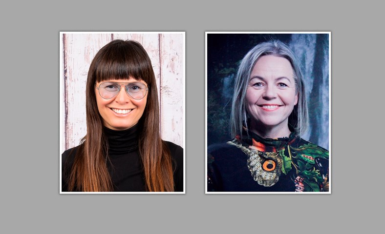 Að berjast við vindmyllur