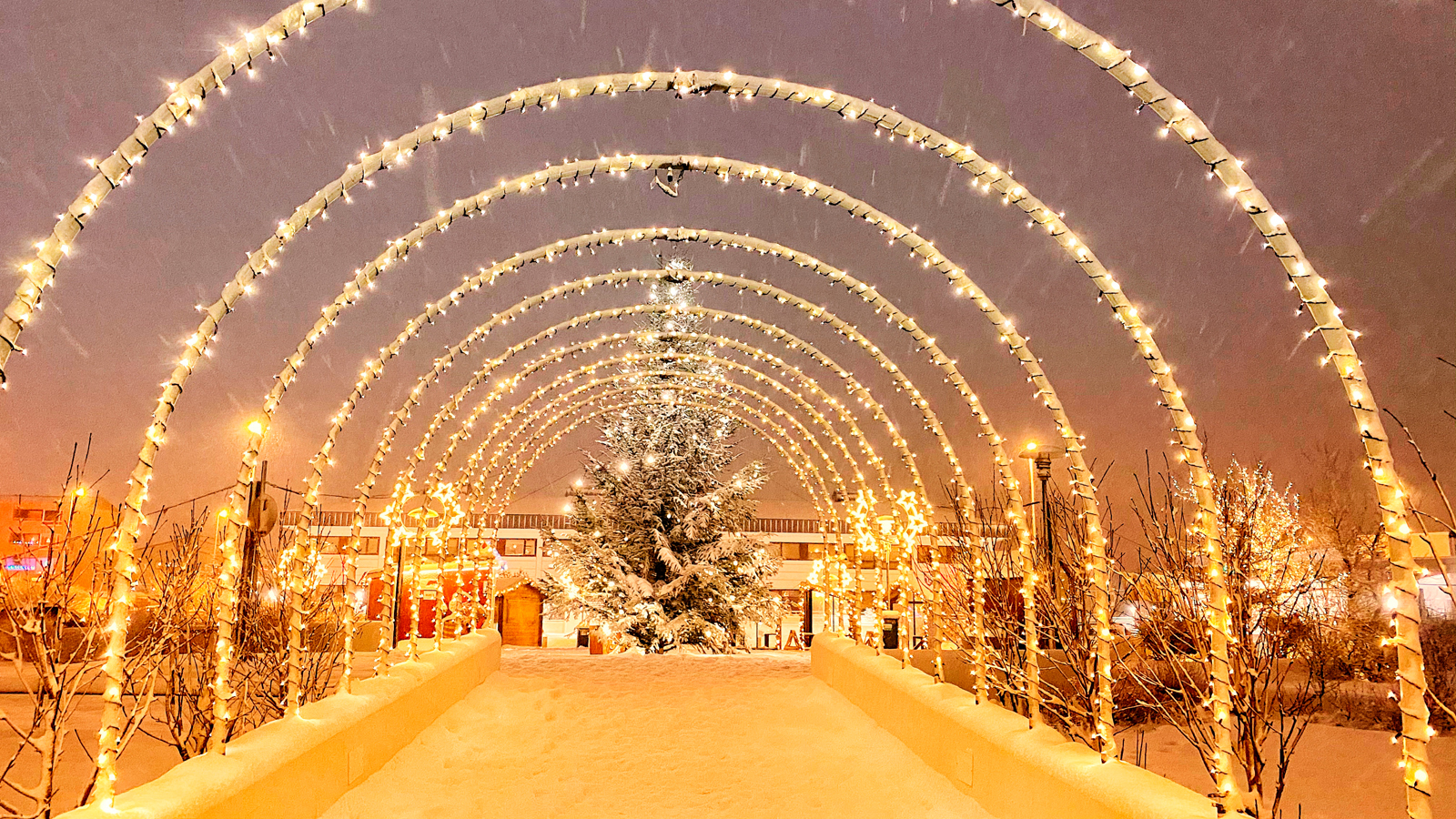 Aðventugarðurinn opnar fyrstu helgina í desember