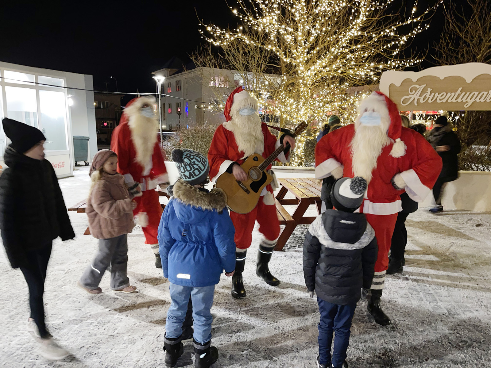 Sóttvarðir jólasveinar í Aðventugarðinum - myndir