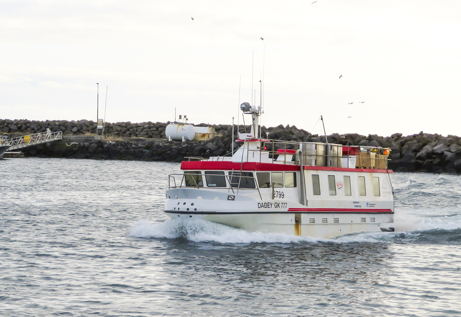 Mokveiði og nóg af fiski í sjónum