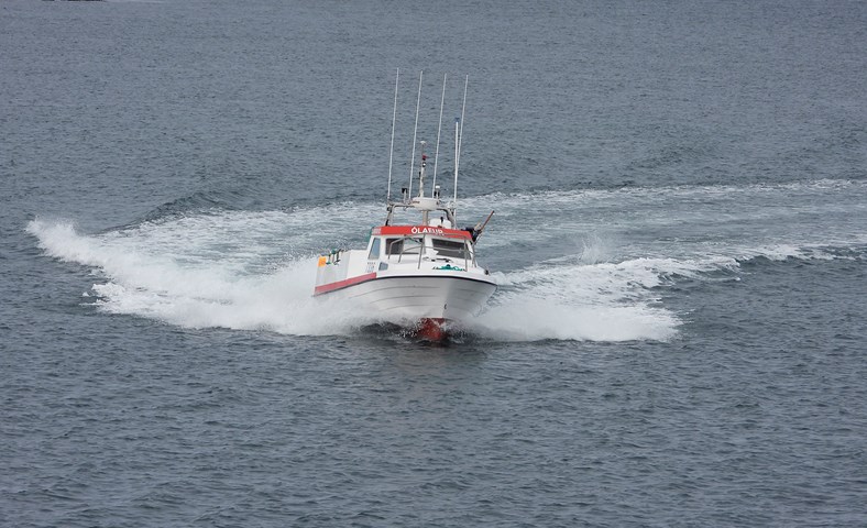 Veiðar ganga vel í sumarbyrjun