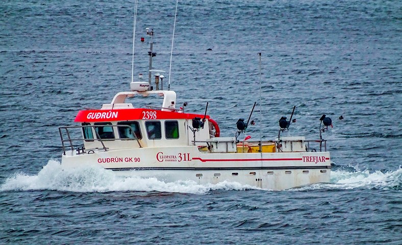 Hrygningarstopp í gangi og grásleppuveiðar að hefjast