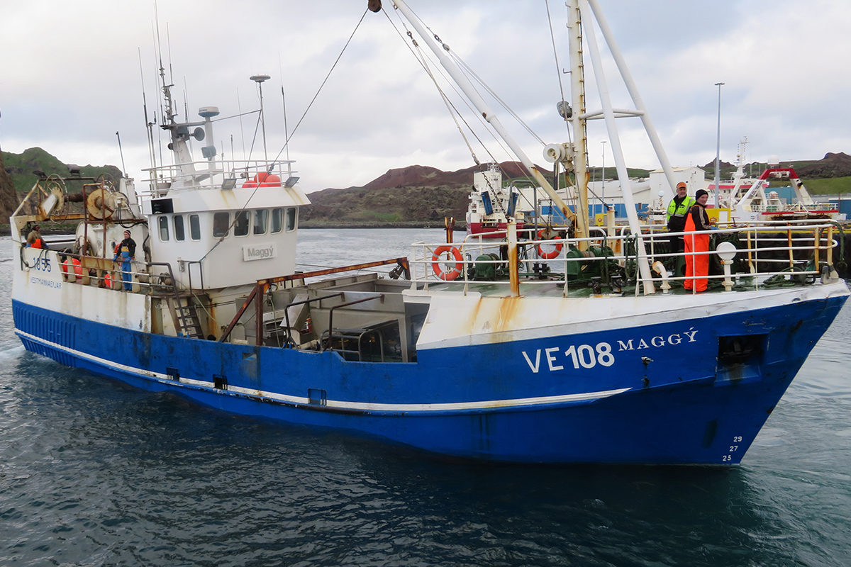 Aflafréttir: Fiskast vel í dragnótina