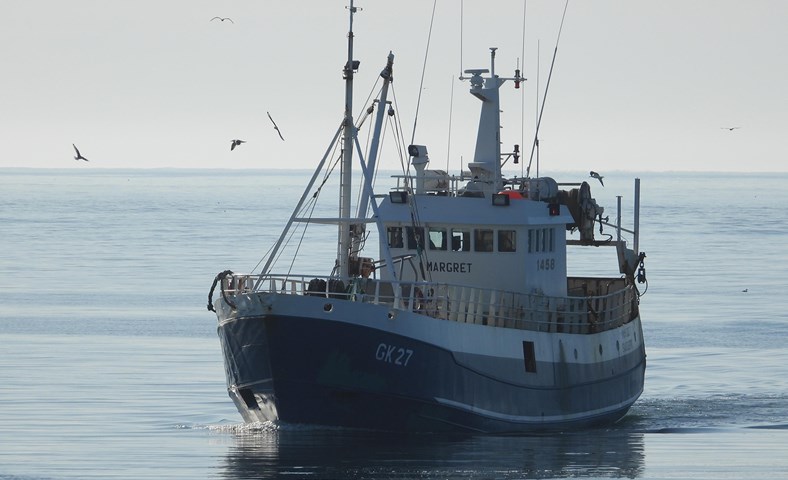 Netabátar sækja í miðin við Dyrhólaey – góður afli á Suðurnesjum