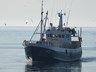 Netabátar sækja í miðin við Dyrhólaey – góður afli á Suðurnesjum