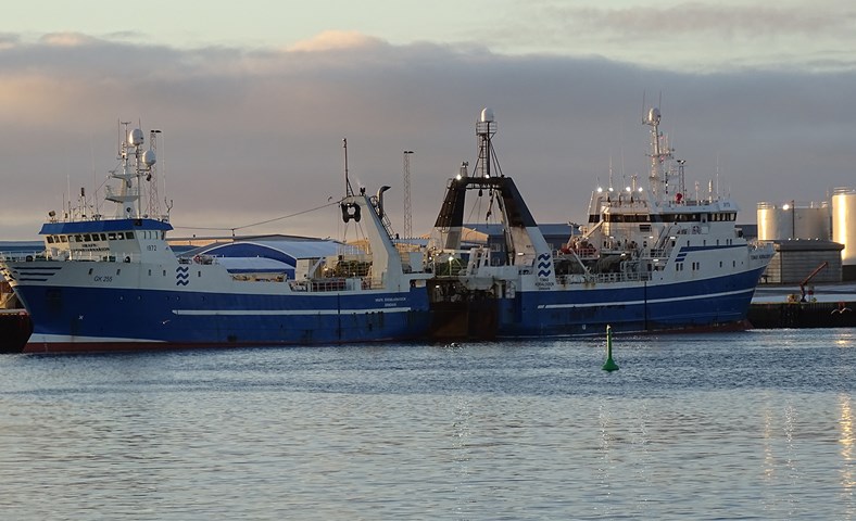 Hrafn og Tómas með 1.591 tonn af frosnum afurðum