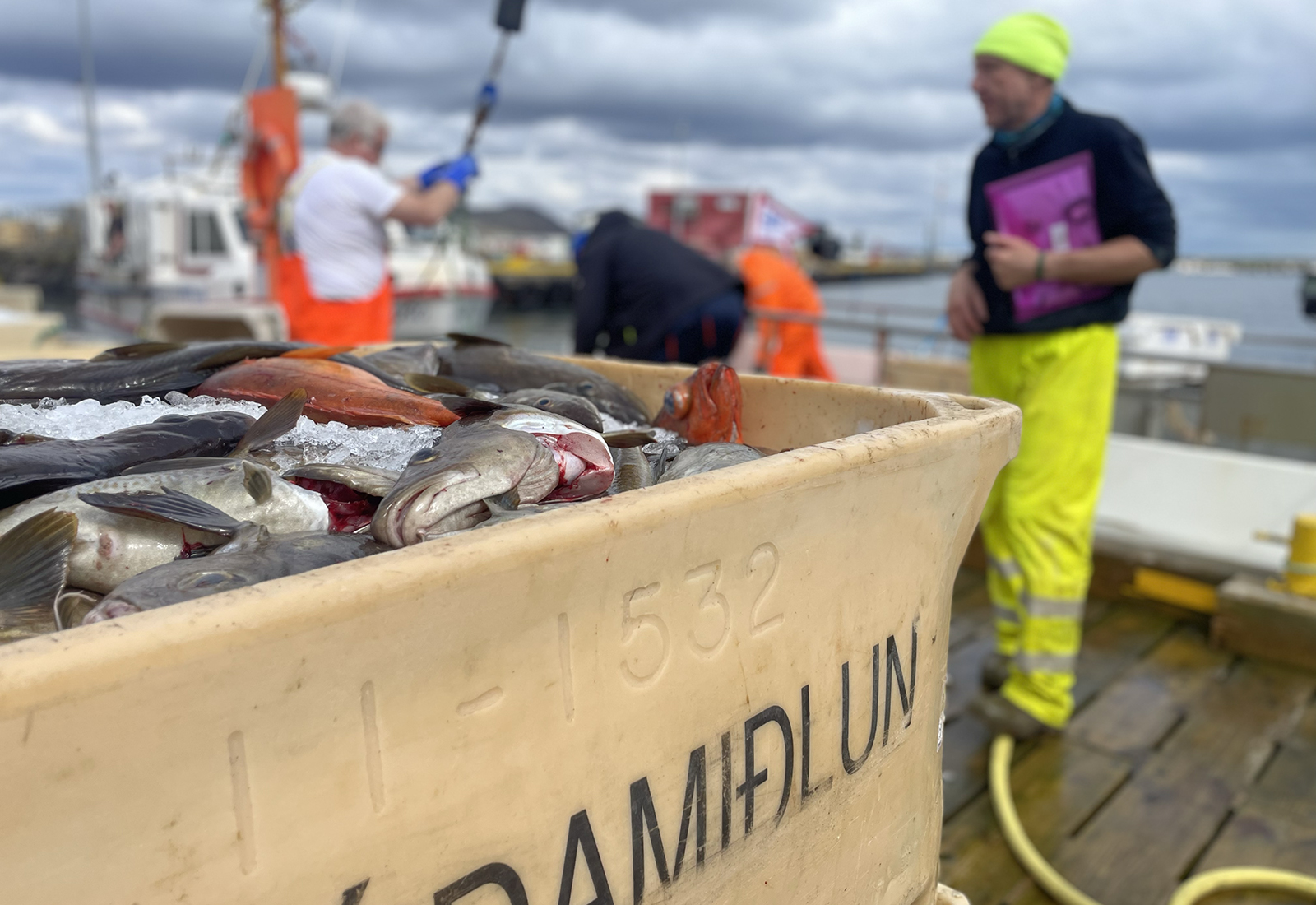Sjóstangveiðimenn spiluðu gott mót í Grindavík