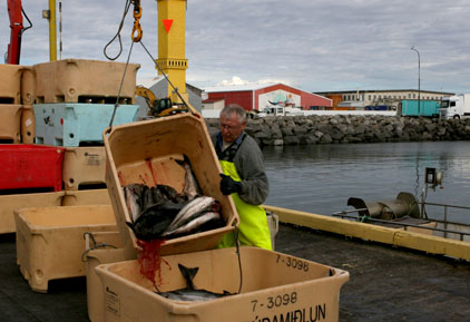 Undirskriftasöfnun til stuðningi Ásmundar