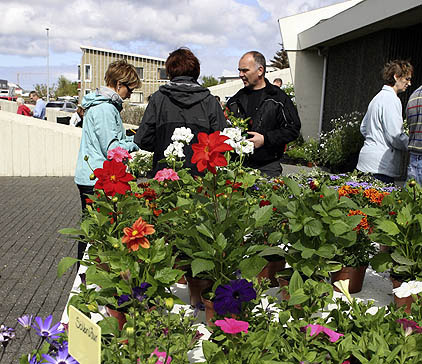 Blómamarkaður við Ytri Njarðvíkurkirkju