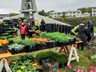 Blómamarkaður Lionsklúbbsins Æsu við Ytri-Njarðvíkurkirkju 2.-4. júní