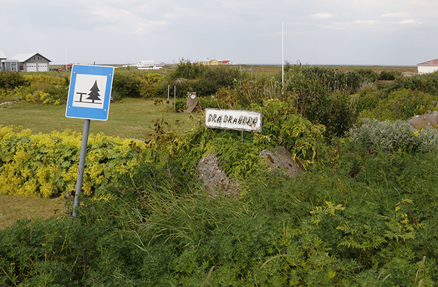 Margverðlaunaður skrúðgarður dó í höndum bæjarins