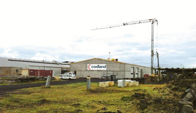 Codland hefur framleiðslu á kollageni