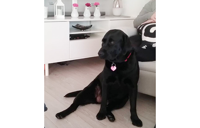 Lentu í hremmingum í Innri Njarðvík