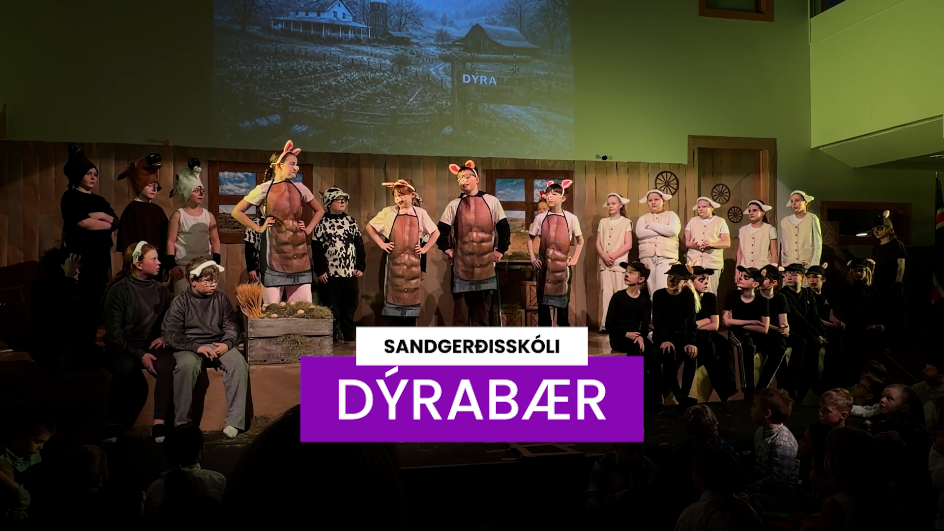 „Dýraræði“ í Sandgerðisskóla