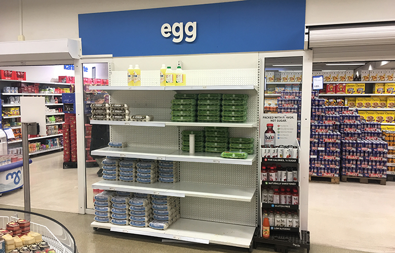 Geta ekki aukið eggjaframleiðslu með skömmum fyrirvara