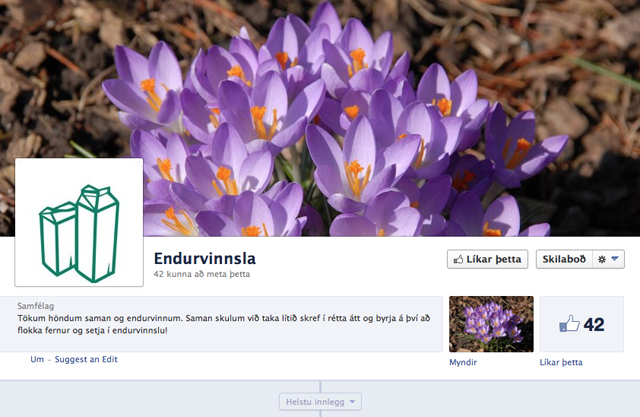 Nemendur Akurskóla í umhverfisvernd