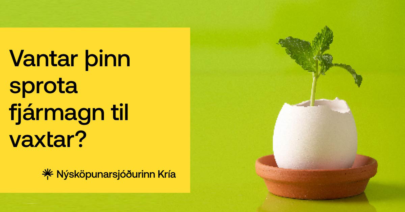Nýsköpunarsjóðurinn Kría opnar fyrir umsóknir í nýtt fjárfestingaátak 