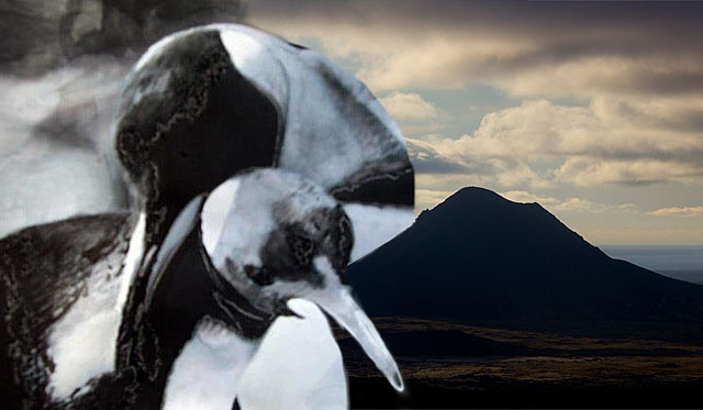 Fjólan og Elgurinn á Flughóteli