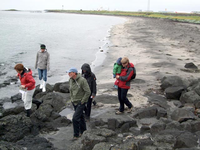 Fróðleg fjöruferð
