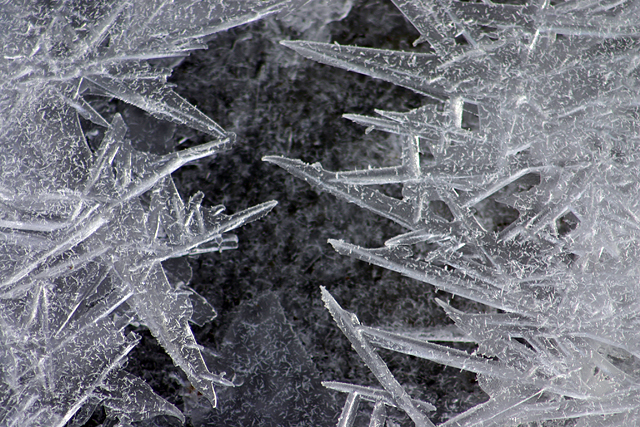 Frost, frost, frost og aftur frost