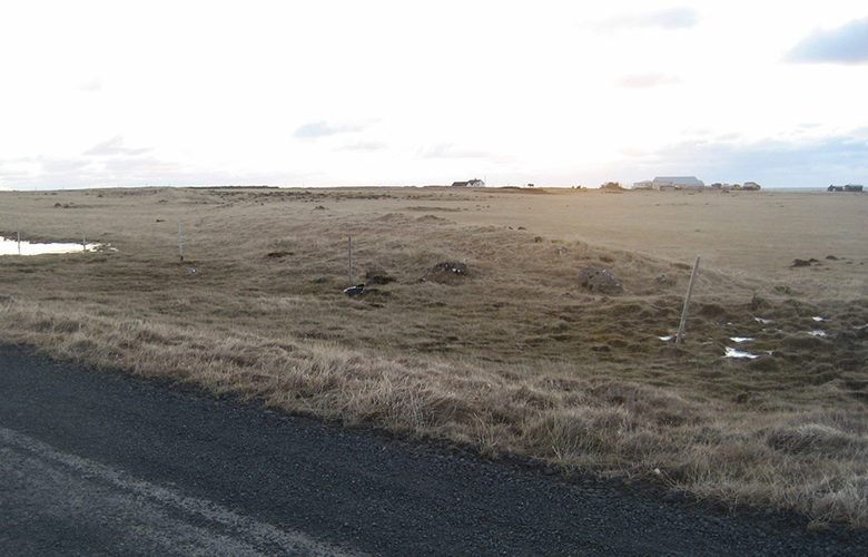 Garður - hvaðan skildi nafnið vera komið?