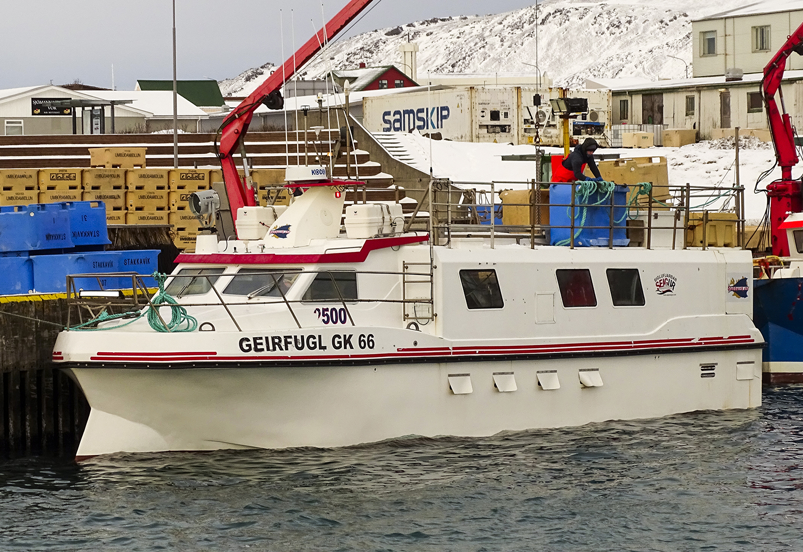 Fólki fjölgar sem veiðir fisk á bryggjunni í Keflavík