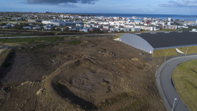 Gervigras ofan Reykjaneshallar?