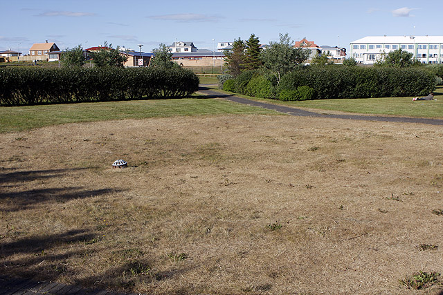 Skrælnaðar grasflatir