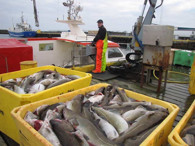 41.810 tonnum landað í Grindavíkurhöfn