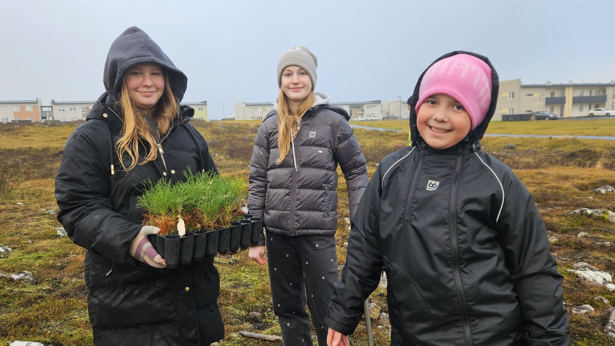 Nemendur Akurskóla gróðursettu 400 tré í afmælislundi Reykjanesbæjar