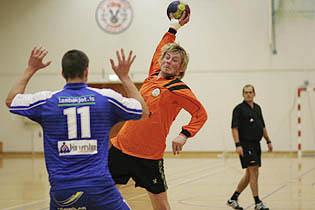 Handknattleiksdeildin endurvakin