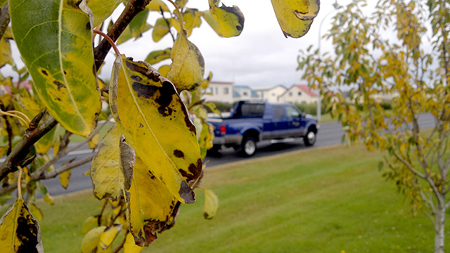 Hægur vindur og þurrt í dag