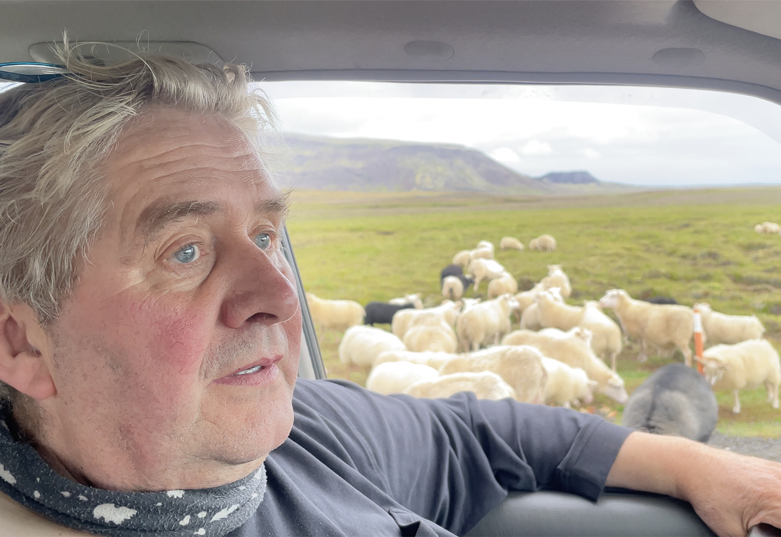 Hemmi í Stakkavík hefur gefið rollunum sínum á fjalli brauð síðan hann man eftir sér