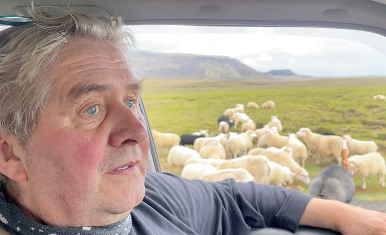 Hemmi í Stakkavík hefur gefið rollunum sínum á fjalli brauð síðan hann man eftir sér
