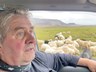 Hemmi í Stakkavík hefur gefið rollunum sínum á fjalli brauð síðan hann man eftir sér