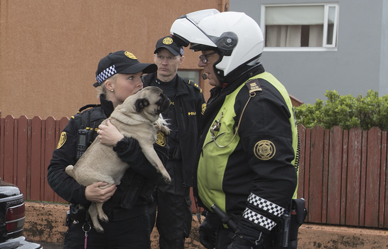 Hundum bjargað úr brennandi íbúð