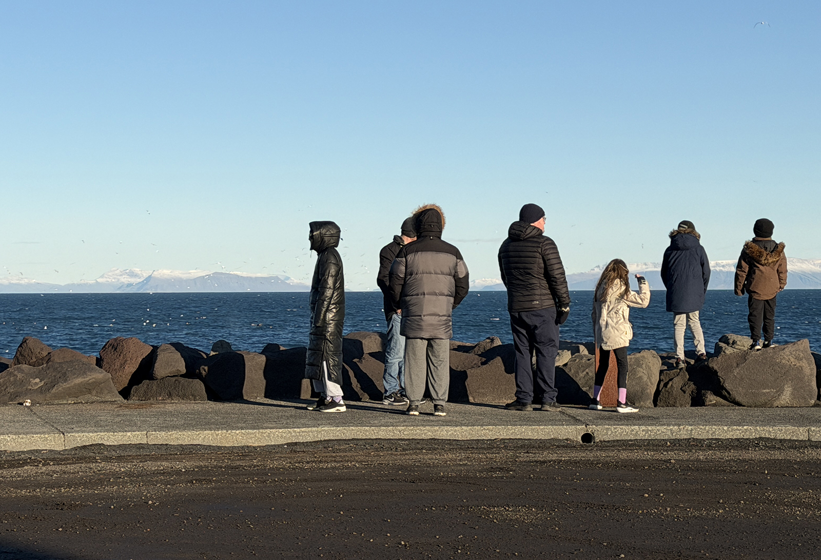 Fjölmargir skoða hvali við Vatnsnes