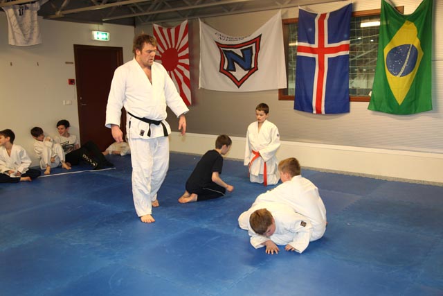 Aðstaða júdódeildar UMFN verði bætt