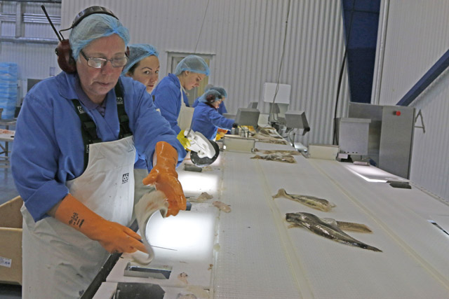Flugfiskurinn við Keflavíkurflugvöll