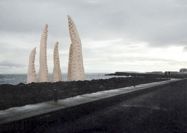 Kolkrabbi við Strandleiðina