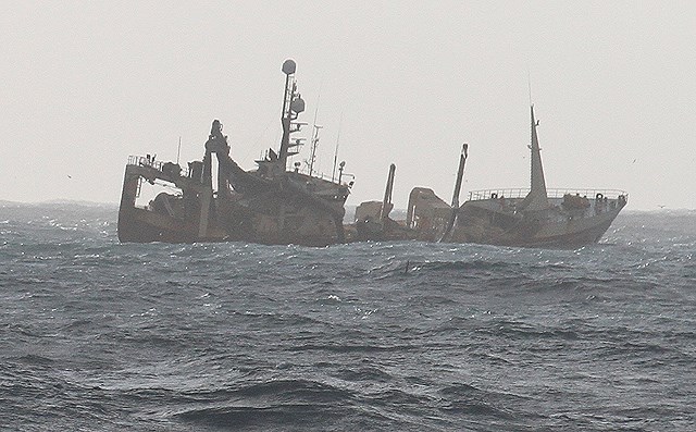 Loðnan á hraðferð suður með landinu