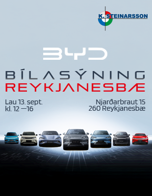 KSTeinarsson sýning