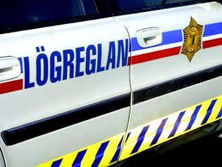Innbrotsþjófar með fíkniefnasprautu handteknir