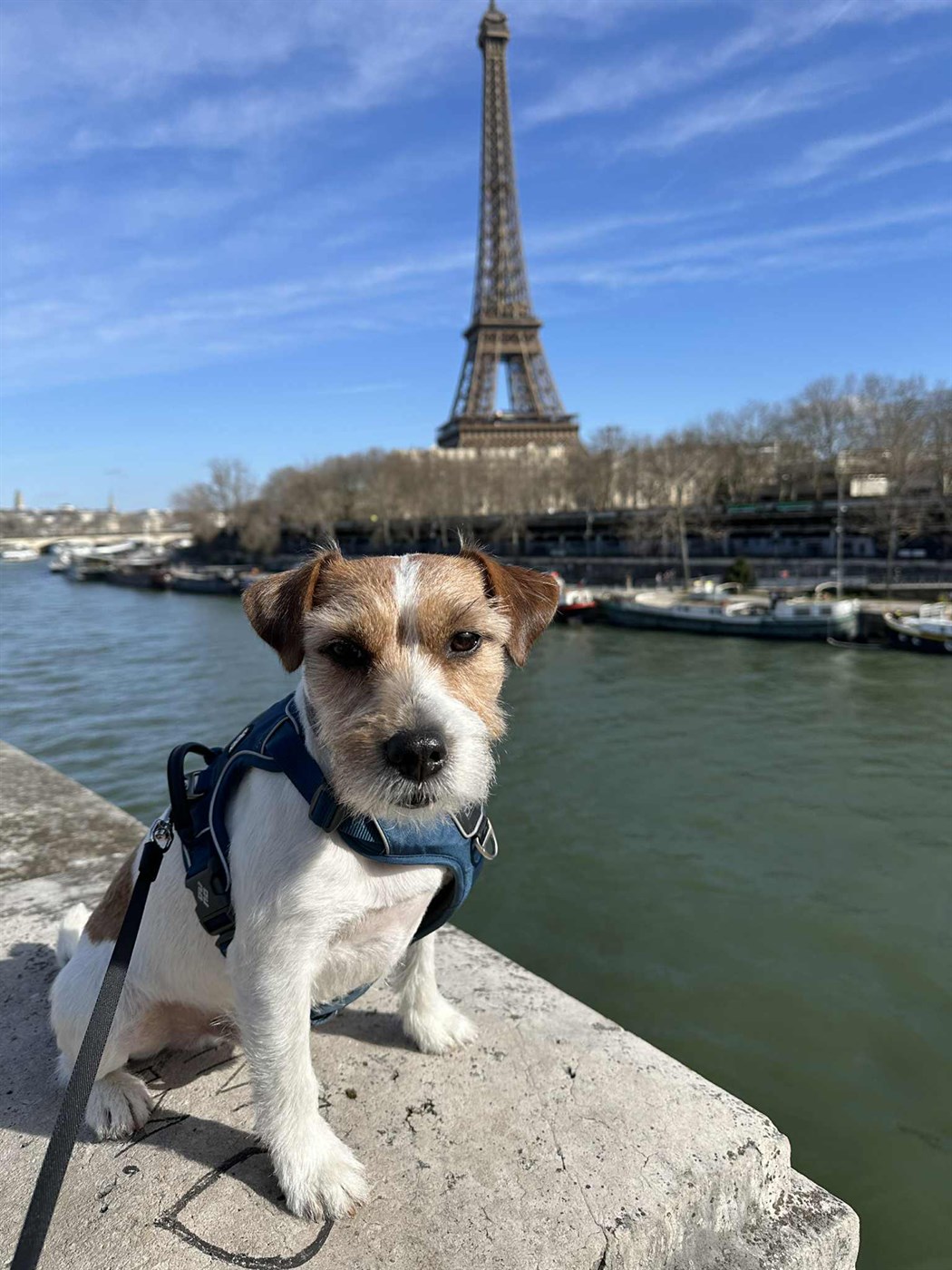 Lokaorð – frá sjónarhorni Lubba 